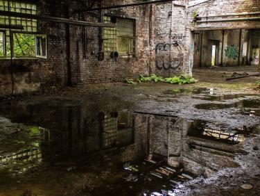 Building ruin with water on the ground and plants growing in the broken walls.